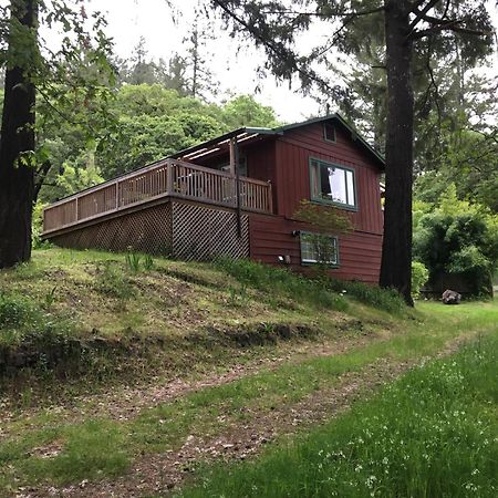 Avenue Of The Giants Caraway Cottage Miranda Экстерьер фото
